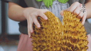 榴蓮剝好肉后，搗成泥狀。