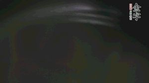 剝?nèi)ネ鈿さ墓S、切花刀的香菇、豌豆入沸水焯水。