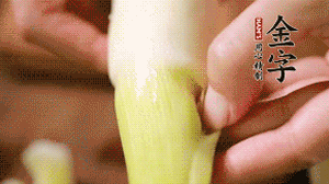 茭白剝?nèi)ネ鈿?，先切片再切絲。