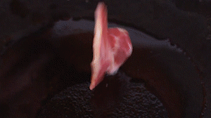 鍋中倒入橄欖油燒熱，放入淡火腿小火煸炒至打卷狀態(tài)。