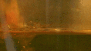 雞肉、鹽、料酒入冷水鍋水開后撇去浮沫，溫水洗凈。