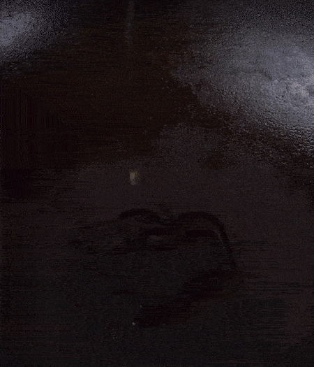 冷鍋熱油，下蒜片爆香，下香腸、玉米筍、蓮藕、西芹爆炒，期間加點(diǎn)水，翻炒1分鐘后加新鮮百合片，翻炒30秒。