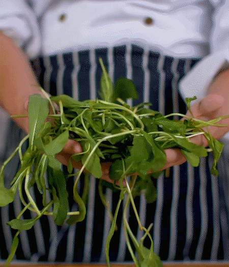 馬蘭頭焯水，切成細(xì)末。