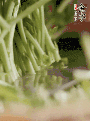 新鮮豌豆苗割下洗凈。